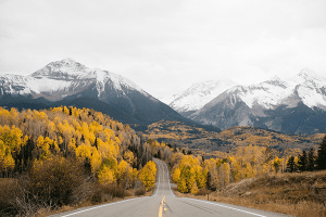 Seasons Road
