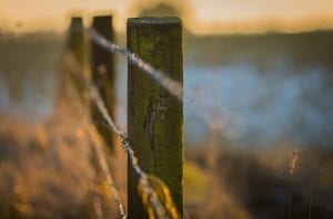 Fence