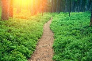 Path