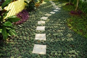 Path